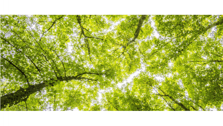 PALLITE ENVIRONMENTAL CREDENTIALS